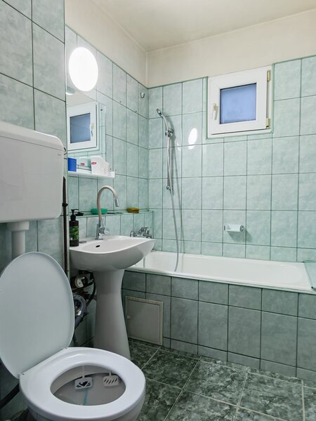 Titan, Parcul IOR, Constantin Brancusi,